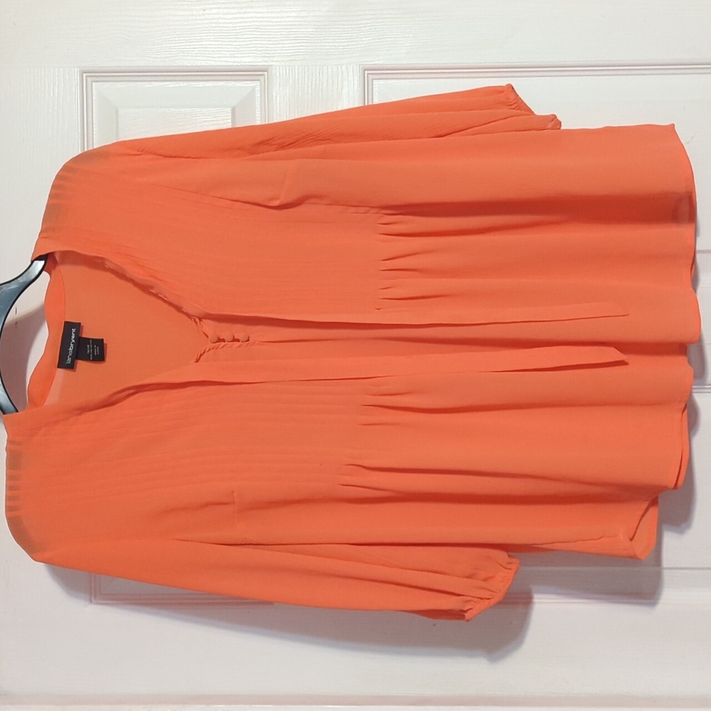 Lane Bryant Sheer Blouse Size 14/16